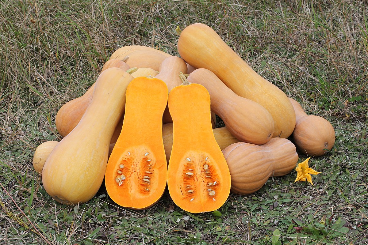 Unique and Creative Ways to Use Butternut Squash