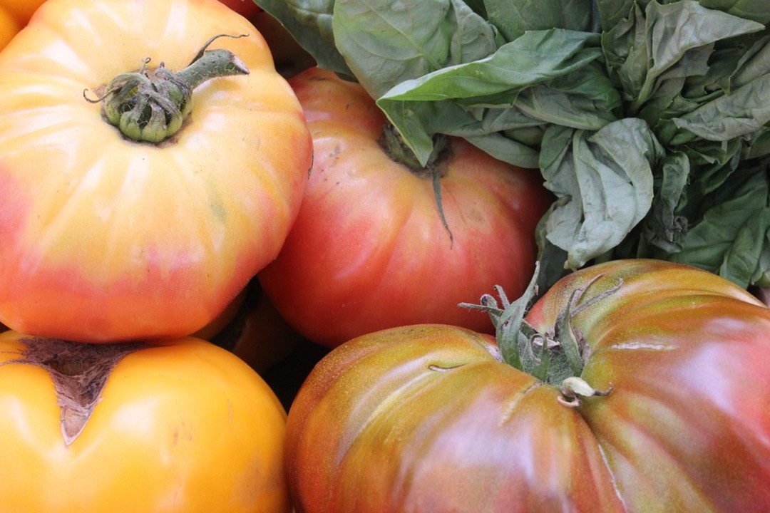 Exploring Different Types of Heirloom Fruits and Vegetables